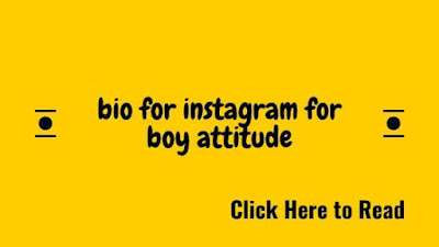 bio for instagram for boy attitude