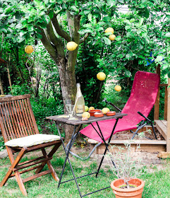 Zitronen im Apfelbaum mit Tapas und Freixenet