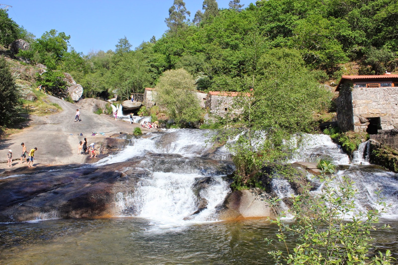 El río, en una limpieza simultánea