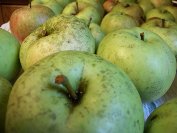 apples1