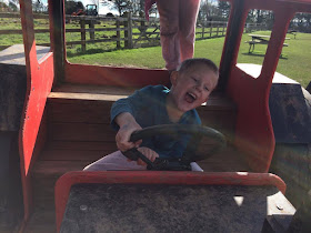 Tractor boy on the farm