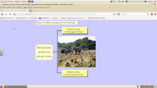 http://recursostic.educacion.es/secundaria/edad/2esobiologia/2quincena11/imagenes/relacion_seres_vivos.swf