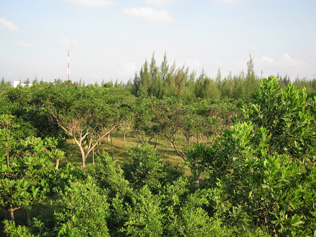 Cantiknya Taman Walikota Nusantara Banda Aceh