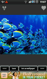 BestAppsForAndroid_Underwater_Aquarium_Wallpapers