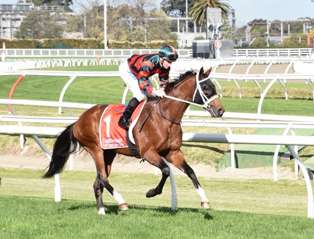 caulfield guineas_the autumn sun 10