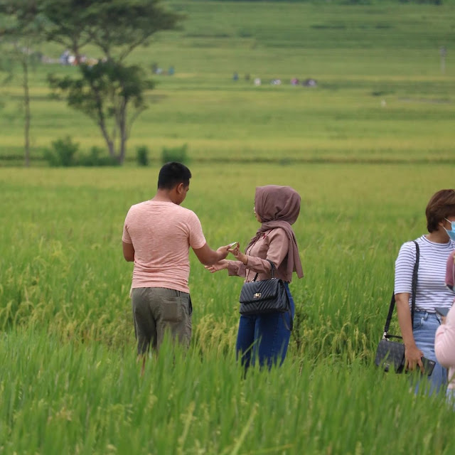 Geblek Menoreh View Yogyakarta