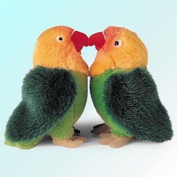 Picture Love Birds