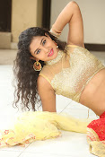 pavani sizzling photos gallery-thumbnail-7