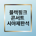 블랙핑크 콘서트 시야 제한석 논란: YG 사과와 팬들의 분노