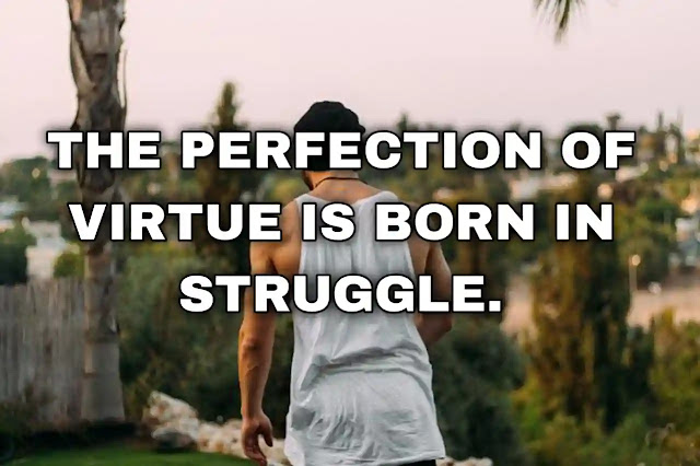 The perfection of virtue is born in struggle.
