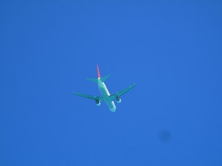 IMG_3541