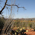 Loopy Sedona hike with fall color