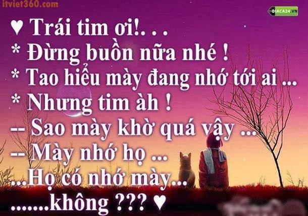 Những câu nói hay về tình yêu tan vỡ