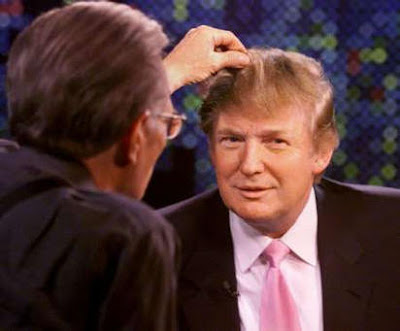 donald trump hair piece. The Donald aka The Hairpiece