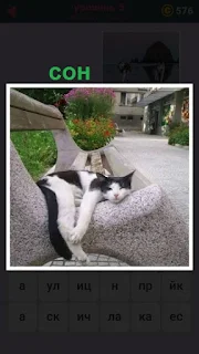кошка спит на камне по середине улицы около скамейки