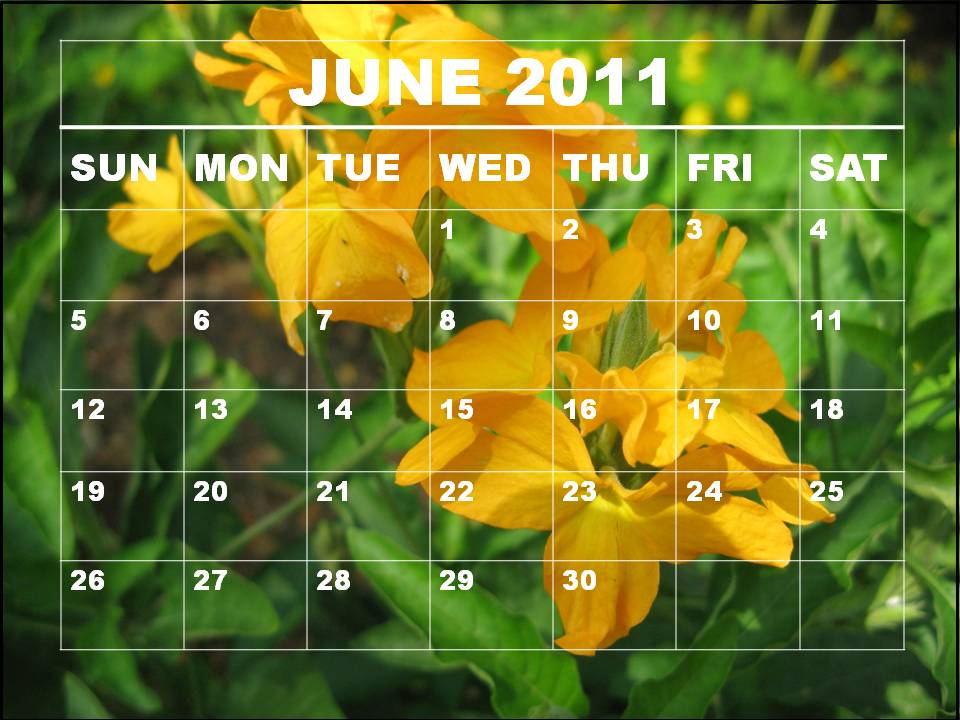 june 2011 calendar. blank june 2011 calendar.