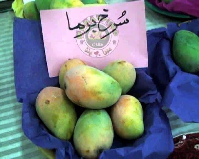 How many types of mangoes in Pakistan?