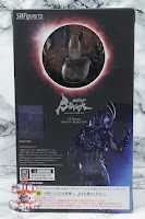 S.H. Figuarts Kamen Rider Black Sun Box 03