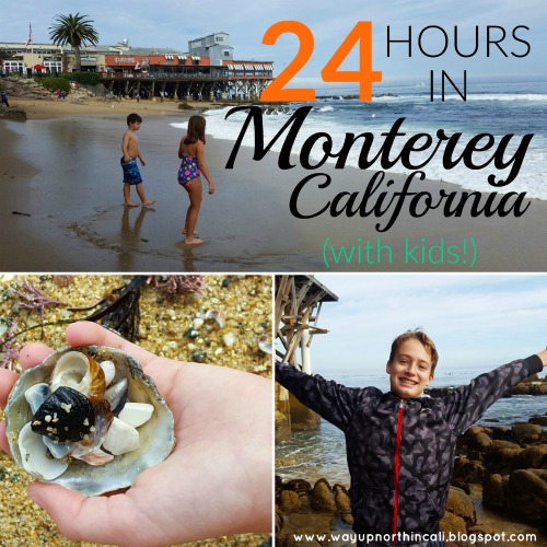 24 Hours in Monterey California WITH KIDS! www.wayupnorthincali.blogspot.com