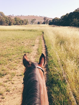 Veiw from our arena | A Riding Habit