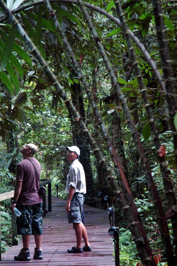 Photos of Mulu National Park