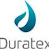 Duratex aumenta produção e comercialização de cavaco de eucalipto