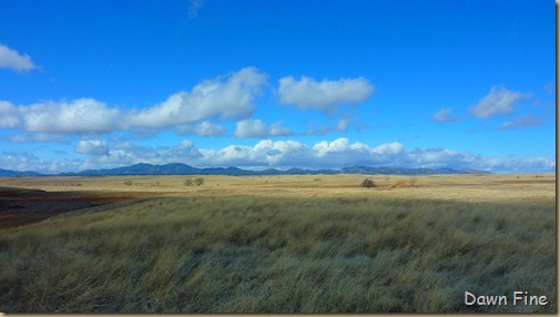 San Rafael Grasslands_020