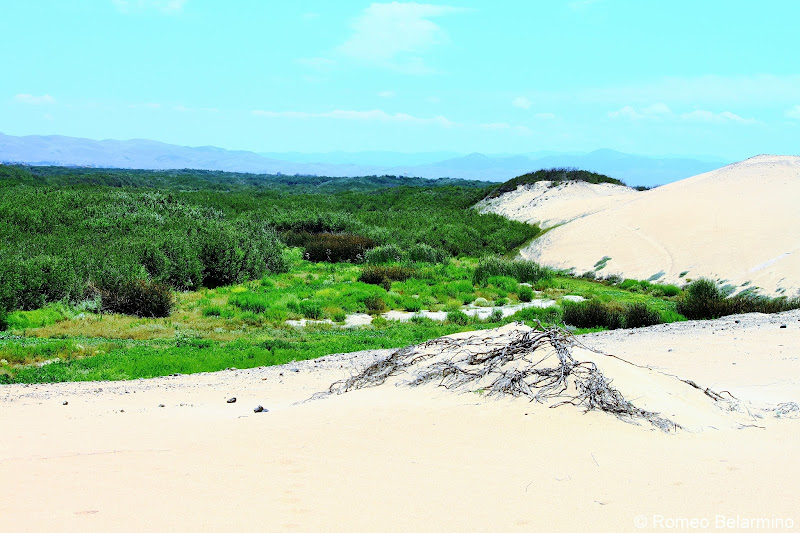 Rancho Guadalupe Dunes Central California Weekend Getaway