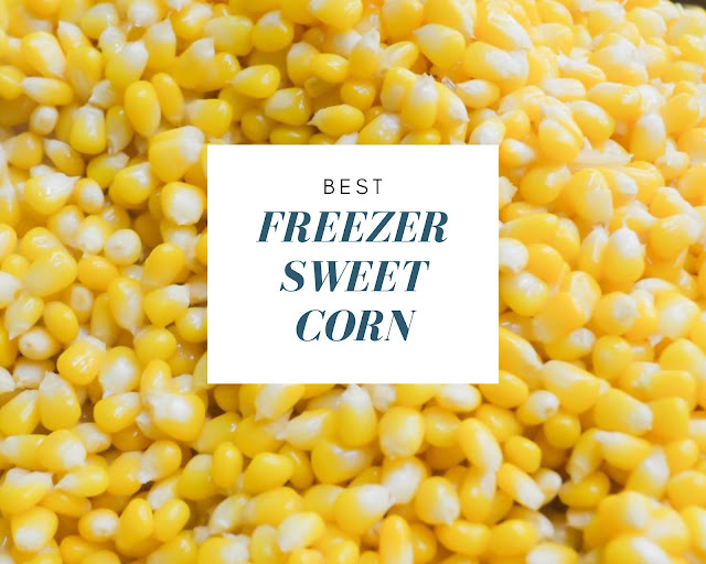 Preserve your harvest of corn this year with this easy Freezer Sweet Corn Recipe.