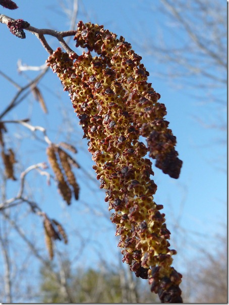 P1050676