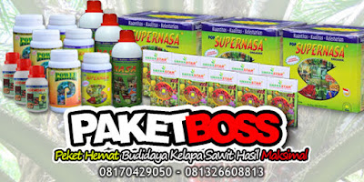 Paket Boss NASA