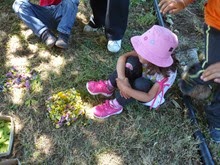 freches e cogula 033