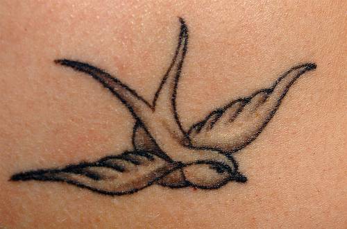 small bird tattoo. Bird Tattoo Ideas!