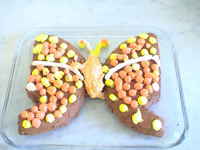 Butterfly Cake