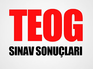 2015-teog-sonuclari