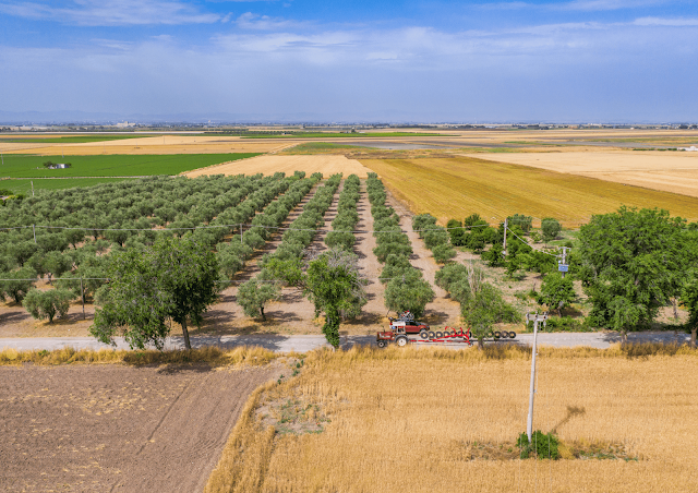 campagna pugliese