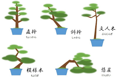 盆栽の樹形図