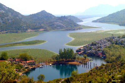 (Montenegro) - Skadar Lake