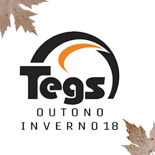 Logo Tegs Multimarcas