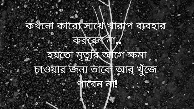 motivational quotes bangla