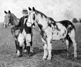 AIMÉ TSCHIFFELY, MANCHA Y GATO ¡Hazaña! De Buenos Aires a Nueva York a caballo