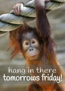 Hang in there. Tomorrow’s Friday!
