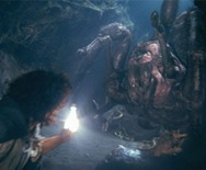 shelob