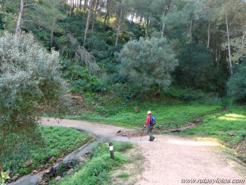 Sendero Las Quebradas (Vejer de la Frontera)