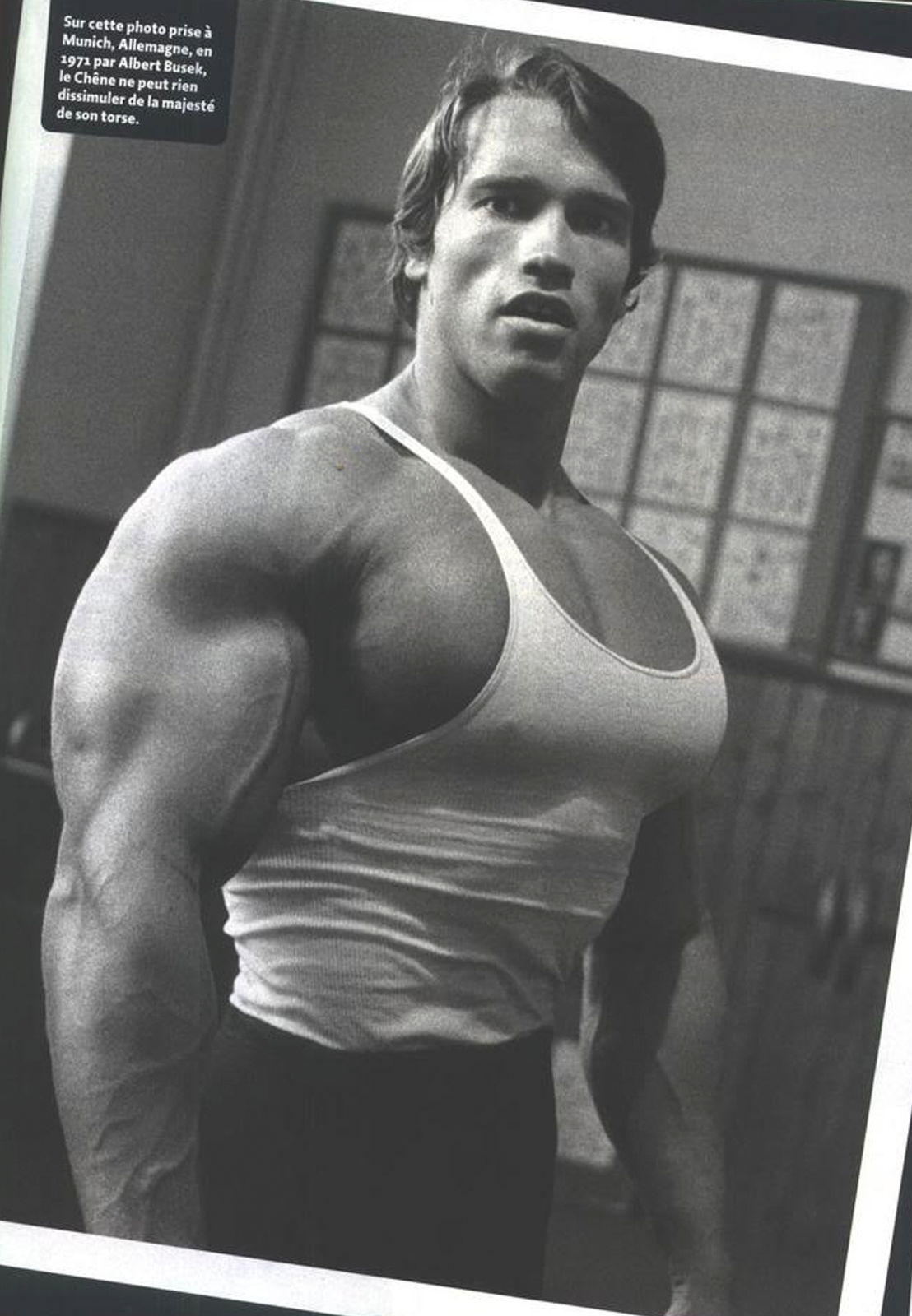 ... cCgE-zEBpbE/s1600/Arnold+Schwarzenegger+Bodybuilding+Wallpaper-29.png