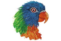 Colorful Exotic Parrot
