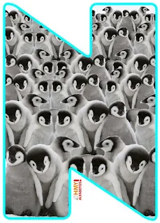 Abecedario con Pingüinos Bebé. Baby Penguins Abc.