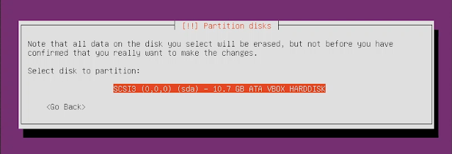 Partition Ubuntu Server