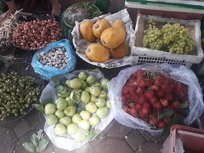 ベトナム北部地方の果物