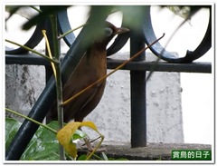 20120207_170430_009_Macau_5